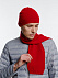 Шарф Siver, красный с логотипом в Екатеринбурге заказать по выгодной цене в кибермаркете AvroraStore