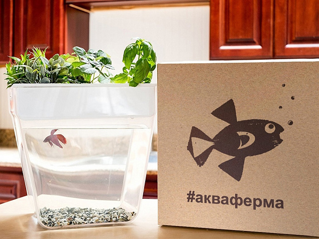 Набор для выращивания растений и ухода за рыбкой Акваферма с логотипом в Екатеринбурге заказать по выгодной цене в кибермаркете AvroraStore