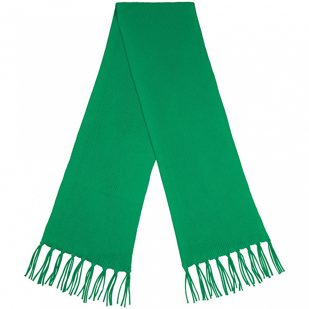 Шарф Flette, зеленый с логотипом в Екатеринбурге заказать по выгодной цене в кибермаркете AvroraStore