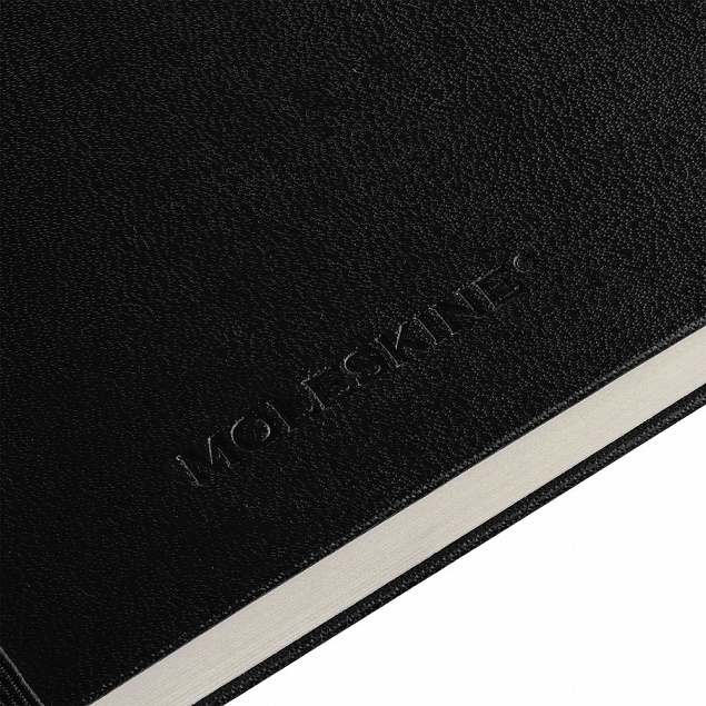 Записная книжка Moleskine Professional Large, черная с логотипом в Екатеринбурге заказать по выгодной цене в кибермаркете AvroraStore