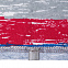 Футболка мужская RAYET двусторонняя, красная с синим с логотипом в Екатеринбурге заказать по выгодной цене в кибермаркете AvroraStore