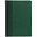 Ежедневник BRAND, недатированный, зеленый с логотипом в Екатеринбурге заказать по выгодной цене в кибермаркете AvroraStore