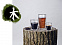 Набор стаканов Elements Wood с логотипом в Екатеринбурге заказать по выгодной цене в кибермаркете AvroraStore