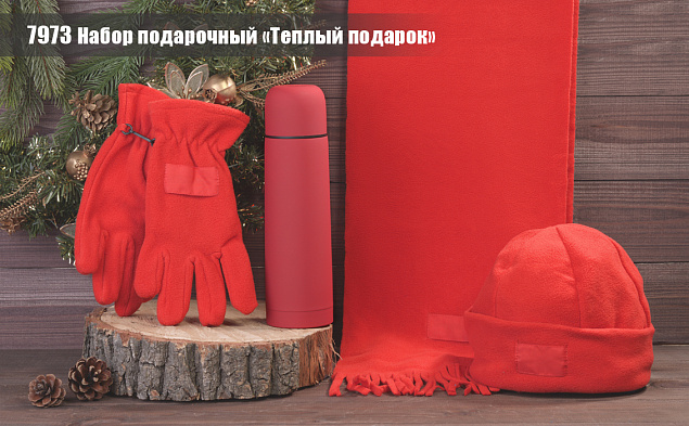 Набор подарочный "Теплый подарок" с логотипом в Екатеринбурге заказать по выгодной цене в кибермаркете AvroraStore