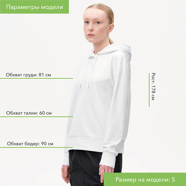 Худи с капюшоном  ALEX , антрацит, размер S с логотипом в Екатеринбурге заказать по выгодной цене в кибермаркете AvroraStore