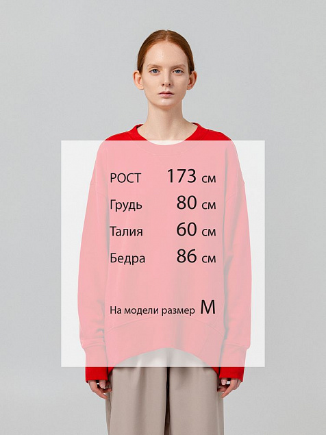 Свитшот Kosmos, красный с логотипом в Екатеринбурге заказать по выгодной цене в кибермаркете AvroraStore