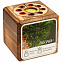 Набор для выращивания с органайзером «Экокуб Burn», сосна с логотипом в Екатеринбурге заказать по выгодной цене в кибермаркете AvroraStore