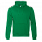 Толстовка Толстовка 20 Зелёный с логотипом в Екатеринбурге заказать по выгодной цене в кибермаркете AvroraStore