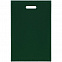 Чехол для пропуска Shall, зеленый с логотипом в Екатеринбурге заказать по выгодной цене в кибермаркете AvroraStore
