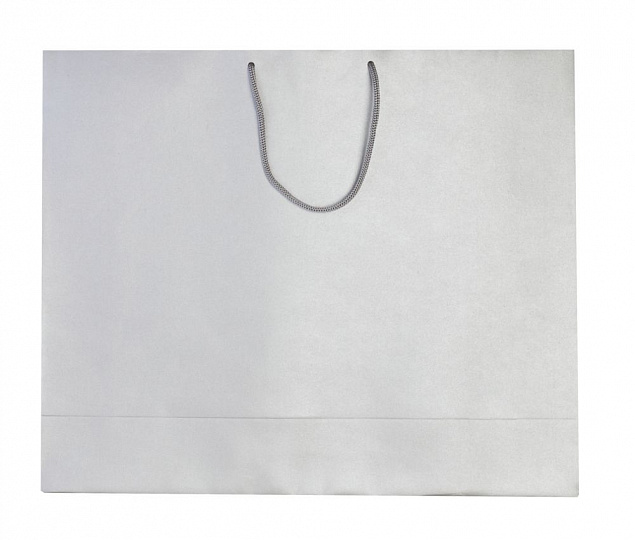 Пакет бумажный «Блеск», большой, серебристый с логотипом в Екатеринбурге заказать по выгодной цене в кибермаркете AvroraStore