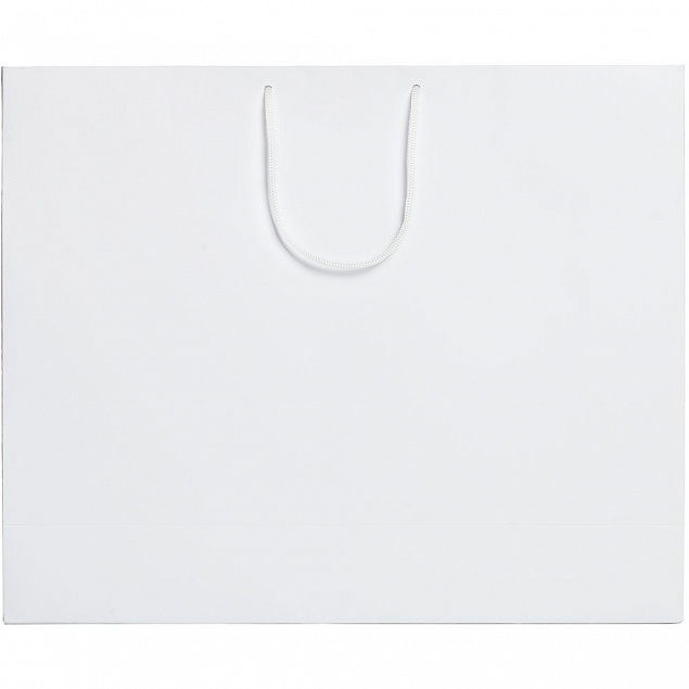 Пакет Ample L, белый с логотипом в Екатеринбурге заказать по выгодной цене в кибермаркете AvroraStore