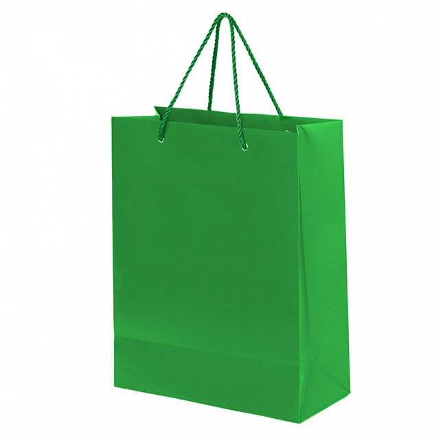 Пакет подарочный BIG GLAM с логотипом в Екатеринбурге заказать по выгодной цене в кибермаркете AvroraStore