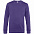 Свитшот унисекс King, фиолетовый с логотипом в Екатеринбурге заказать по выгодной цене в кибермаркете AvroraStore