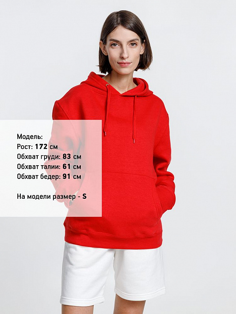 Худи унисекс Phoenix, красное с логотипом в Екатеринбурге заказать по выгодной цене в кибермаркете AvroraStore