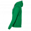 Толстовка мужская 17 Зелёный с логотипом в Екатеринбурге заказать по выгодной цене в кибермаркете AvroraStore