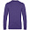 Свитшот унисекс Set In, фиолетовый меланж с логотипом в Екатеринбурге заказать по выгодной цене в кибермаркете AvroraStore