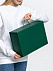 Коробка Big Case, зеленая с логотипом в Екатеринбурге заказать по выгодной цене в кибермаркете AvroraStore