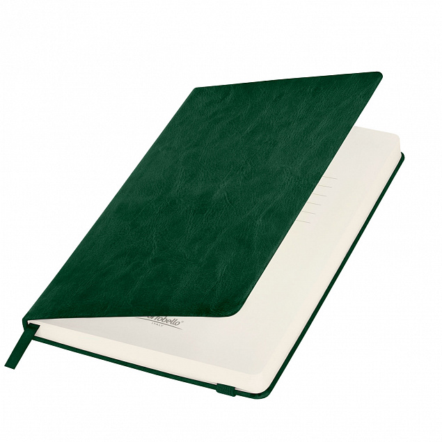 Ежедневник недатированный Voyage BtoBook, зеленый с логотипом в Екатеринбурге заказать по выгодной цене в кибермаркете AvroraStore