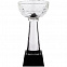 Кубок Cupture, малый с логотипом в Екатеринбурге заказать по выгодной цене в кибермаркете AvroraStore