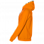 Толстовка мужская 61 Оранжевый с логотипом в Екатеринбурге заказать по выгодной цене в кибермаркете AvroraStore
