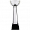 Кубок Cupture, большой с логотипом в Екатеринбурге заказать по выгодной цене в кибермаркете AvroraStore