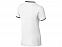 Рубашка поло "Erie" мужская с логотипом в Екатеринбурге заказать по выгодной цене в кибермаркете AvroraStore