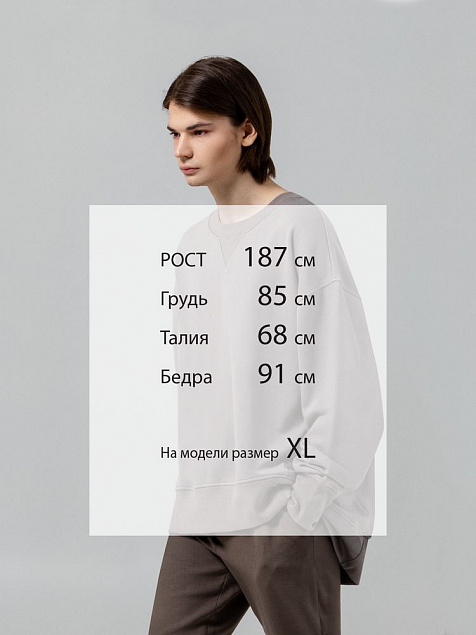 Свитшот Kosmos, серый с логотипом в Екатеринбурге заказать по выгодной цене в кибермаркете AvroraStore
