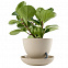 Горшок для растений с функцией самополива Flowerpot, с блюдцем, коричневый с логотипом в Екатеринбурге заказать по выгодной цене в кибермаркете AvroraStore