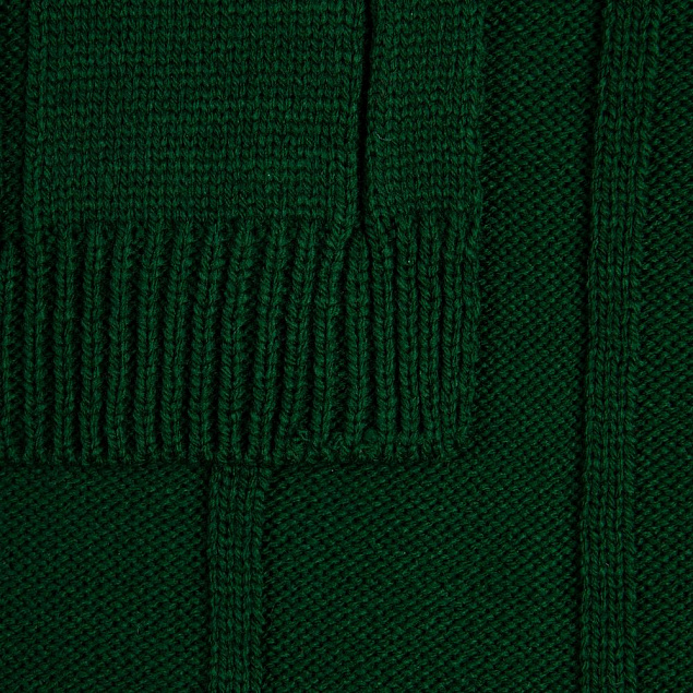 Плед Bambolay, темно-зеленый с логотипом в Екатеринбурге заказать по выгодной цене в кибермаркете AvroraStore