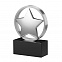 Статуэтка наградная "Звезда" с логотипом в Екатеринбурге заказать по выгодной цене в кибермаркете AvroraStore