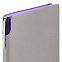 Ежедневник Flexpen, недатированный, серебристо-фиолетовый с логотипом в Екатеринбурге заказать по выгодной цене в кибермаркете AvroraStore