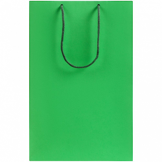 Пакет бумажный Porta M, зеленый с логотипом в Екатеринбурге заказать по выгодной цене в кибермаркете AvroraStore