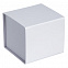 Коробка Alian, белая с логотипом в Екатеринбурге заказать по выгодной цене в кибермаркете AvroraStore