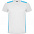 Спортивная футболка DETROIT мужская, КРАСНЫЙ XL с логотипом в Екатеринбурге заказать по выгодной цене в кибермаркете AvroraStore