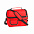 Термосумка BEMEL, красный, 25 x 24 x 15 см, полиэстер 600D с логотипом в Екатеринбурге заказать по выгодной цене в кибермаркете AvroraStore