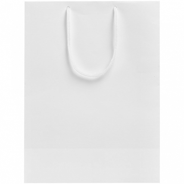 Пакет «Крафт», белый, M с логотипом в Екатеринбурге заказать по выгодной цене в кибермаркете AvroraStore
