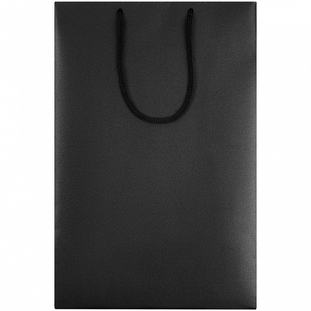 Пакет бумажный «Блеск», средний, черный с логотипом в Екатеринбурге заказать по выгодной цене в кибермаркете AvroraStore