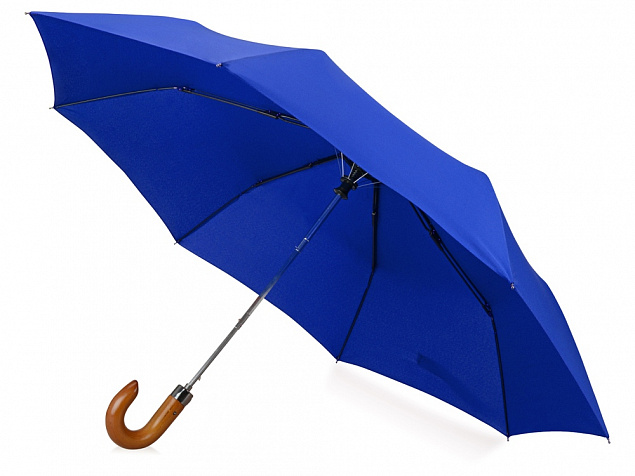 Зонт складной Cary с логотипом в Екатеринбурге заказать по выгодной цене в кибермаркете AvroraStore