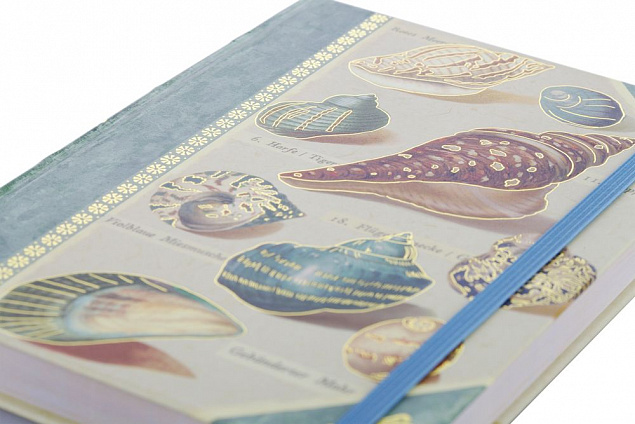 Книга для записей Shells с логотипом в Екатеринбурге заказать по выгодной цене в кибермаркете AvroraStore