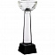 Кубок Cupture, большой с логотипом в Екатеринбурге заказать по выгодной цене в кибермаркете AvroraStore