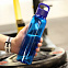 Бутылка пластиковая для воды SPORTES - Синий HH с логотипом в Екатеринбурге заказать по выгодной цене в кибермаркете AvroraStore