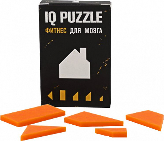 Головоломка IQ Puzzle, домик с логотипом в Екатеринбурге заказать по выгодной цене в кибермаркете AvroraStore