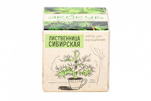 Набор для выращивания «Экокуб», лиственница сибирская с логотипом в Екатеринбурге заказать по выгодной цене в кибермаркете AvroraStore