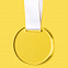 Медаль GLORY в подарочной упаковке, 70х66х5 мм, акрил с логотипом в Екатеринбурге заказать по выгодной цене в кибермаркете AvroraStore
