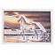 Картина «Лошадь» в серебристой раме с логотипом в Екатеринбурге заказать по выгодной цене в кибермаркете AvroraStore