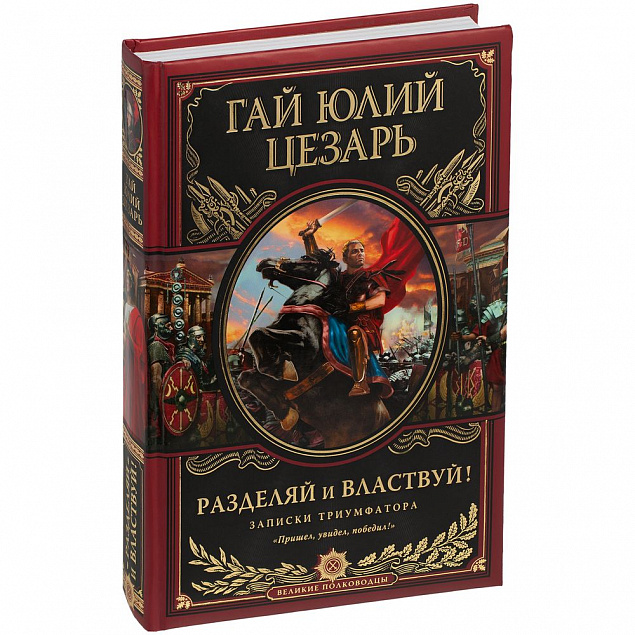 Книга «Разделяй и властвуй» с логотипом в Екатеринбурге заказать по выгодной цене в кибермаркете AvroraStore