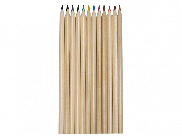 Набор из 12 трехгранных цветных карандашей «Painter» с логотипом в Екатеринбурге заказать по выгодной цене в кибермаркете AvroraStore